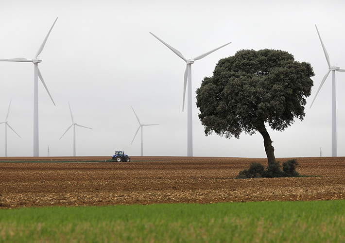 Foto Iberdrola se propone convertir en 100% verdes los sectores agrícola y ganadero.